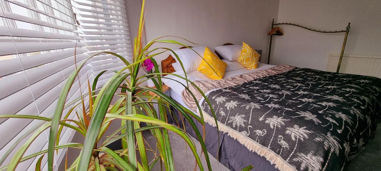 Hidden Gem Near The Beach With Pool Table New Quay Zewnętrze zdjęcie